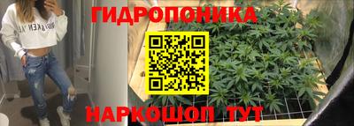 шишки Усть-Илимск