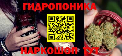 индика Усть-Джегута