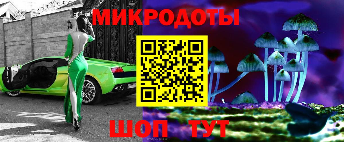 Псилоцибиновые грибы Psilocybine cubensis Михайловка