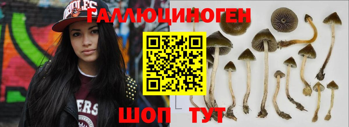 Галлюциногенные грибы прущие грибы  Вход с VPN  Псилоцибиновые грибы Psilocybine cubensis  Михайловка 